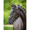 it04477 lifestyle kudoscleararcbridle havanabrass 5