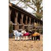 GROUP lifestyle toypony glacier ember ginger 1