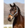it05547 lifestye logoheadcollar glacier 1