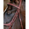 it07459 lifestyle kudosgracklebridle chestnut 5