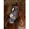 it07459 lifestyle kudosgracklebridle chestnut 1