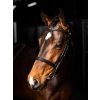 it04720 lifestyle arikacavessonbridle blacksilver 1