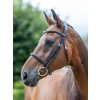 it04719 lifestyle arikacavessonbridle brownsilver 2