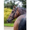 it04719 lifestyle arikacavessonbridle brownsilver 4 (1)