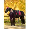 it07098 lifestyle loireclassicdressagesquare cranberry 3