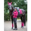 lm loiredressage mulberry2 hr 3
