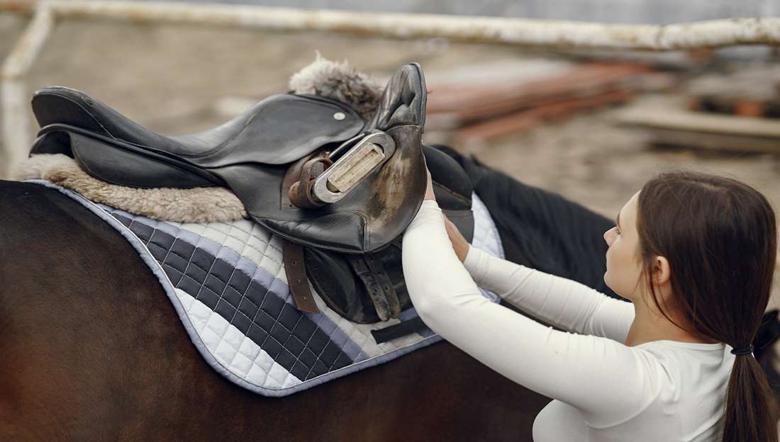 Jak osedlat koně: Rady a tipy