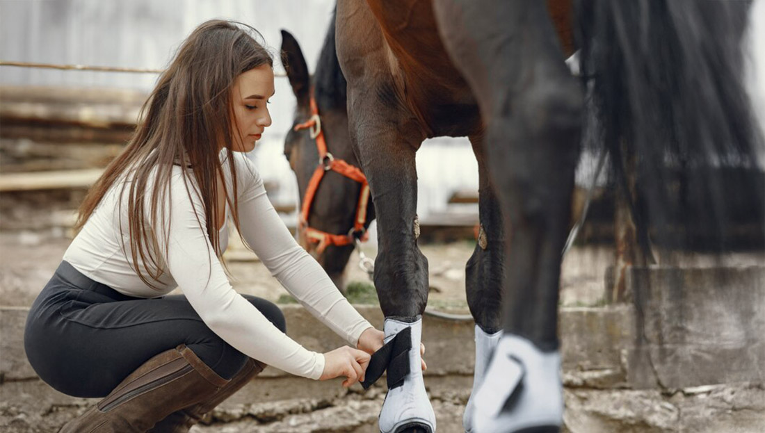 Lymfatický systém u koní a nateklé končetiny