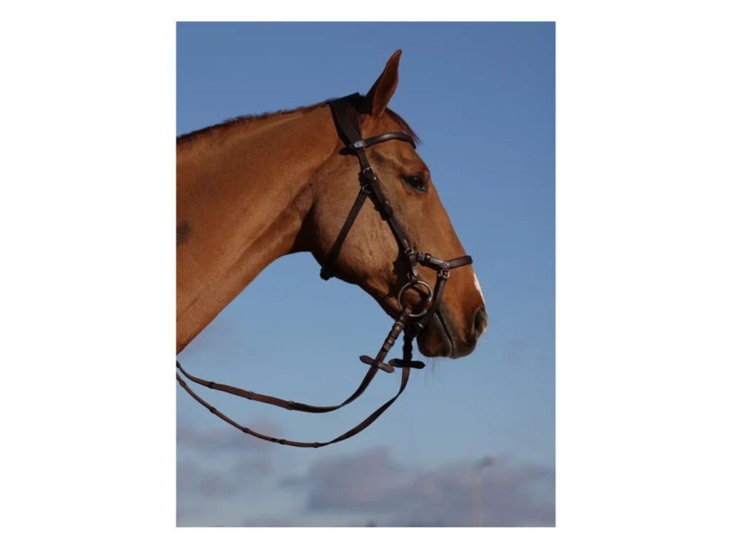 Uzdečka PS OF SWEDEN King Edward - hnědá, COB (AP 25 DOPRODEJ)