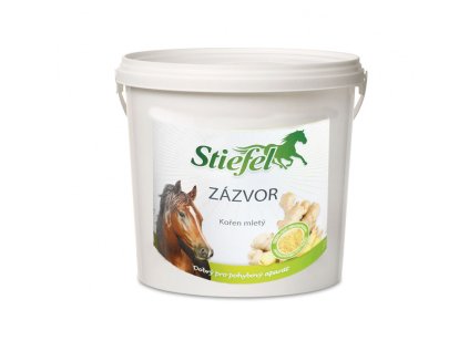 STIEFEL Zázvor 1kg