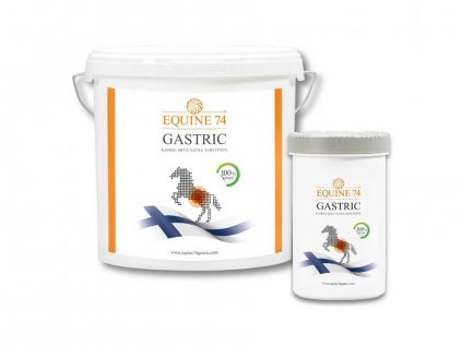 Equine74 Speciální přírodní směs proti žaludečním vředům Gastric granulát 2 kg