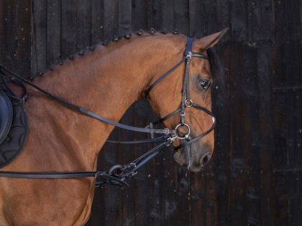 RIDING WORLD Vyvazovačky lonžovací s gumovými kroužky