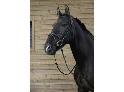 RIDING WORLD Uzdečka s kombinovaným nánosníkem - černá, PONY