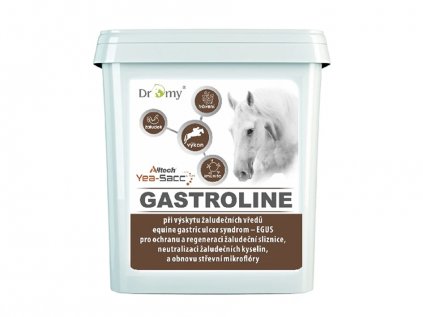 Dromy Gastroline regenerace mikroflóry 3 kg (kůň)
