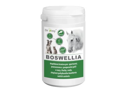 DROMY Boswellia Serrata Forte pohybový aparát 750 g