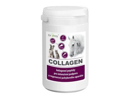 Collagen Plus DROMY 900 g