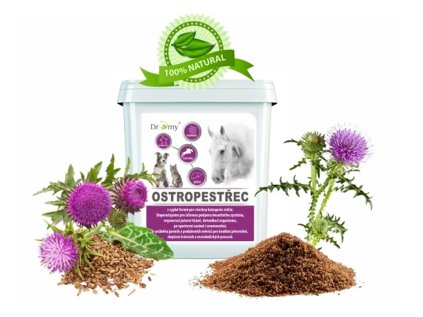 DROMY Ostropestřec mariánský v sypké formě 3 kg