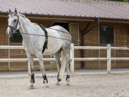 RIDING WORLD Lonž dvojitá kombinovaná - černá