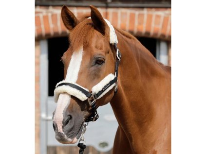 PREMIER EQUINE Ohlávka Techno Wool, černá FULL (AP 25 DOPRODEJ)