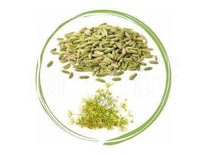 DROMY Fenykl plod sladký 1kg
