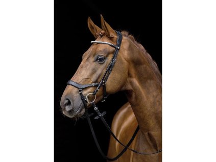 Uzdečka HKM Pro Anatomic, černá, PONY