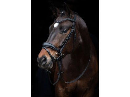 Uzdečka HKM Ira - černá, PONY