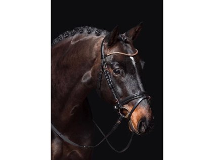 Uzdečka HKM Rosegold Glamour Style, černá, PONY