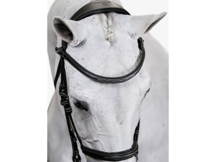 Uzdečka PS OF SWEDEN Ocala - černá, FULL (AP 25 DOPRODEJ)