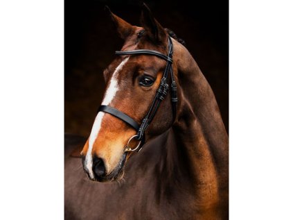 Uzdečka PS OF SWEDEN Wellington - černá, COB (AP 25 DOPRODEJ)