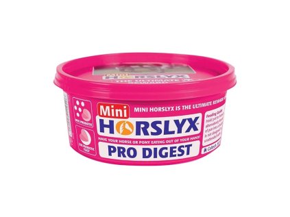 Liz HORSLYX Digest Mini 650g