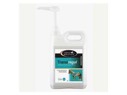 HORSE MASTER Transiregul 5l