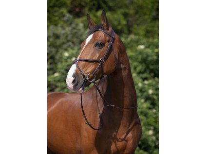 RIDING WORLD Uzdečka s mexickým nánosníkem, havana, vel. COB