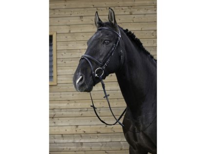 RIDING WORLD Uzdečka s kombinovaným nánosníkem, černá, vel. COB