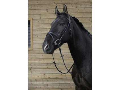 RIDING WORLD Uzdečka s kombinovaným nánosníkem, černá, vel. FULL