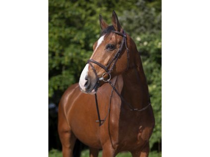 RIDING WORLD Uzdečka s kombinovaným nánosníkem - havana, PONY