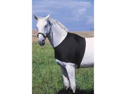 EQUITHEME Vesta pro koně elastická černá vel. L