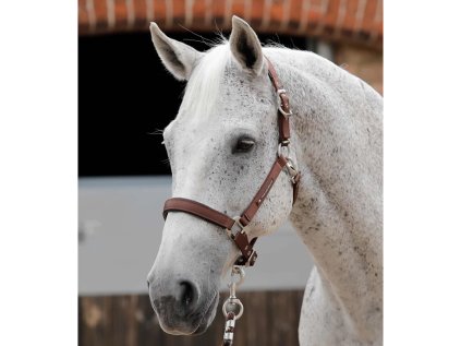 PREMIER EQUINE Ohlávka nylonová s podložením - hnědá, FULL