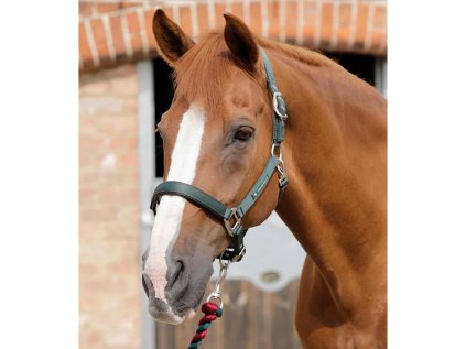 PREMIER EQUINE Ohlávka nylonová s podložením - tmavě zelená, FULL (AP 25 DOPRODEJ)