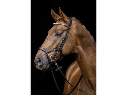 Uzdečka HKM Pro Anatomic, černá, FULL