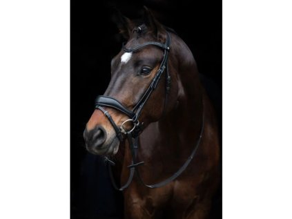 Uzdečka HKM Ira - černá, COB