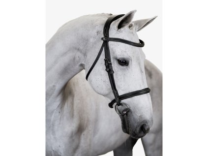 Uzdečka PS OF SWEDEN Ocala - černá, XFULL (AP 25 DOPRODEJ)