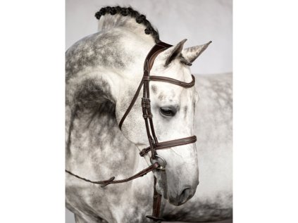 Uzdečka PS OF SWEDEN Ocala - hnědá, XFULL (AP 25 DOPRODEJ)