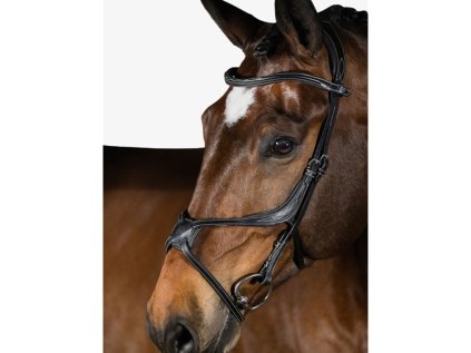 Uzdečka PS OF SWEDEN Athens - černá, FULL (AP 25 DOPRODEJ)