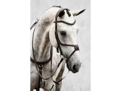 Uzdečka PS OF SWEDEN Athens - hnědá, COB (AP 25 DOPRODEJ)