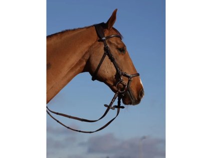 Uzdečka PS OF SWEDEN King Edward - hnědá, COB (AP 25 DOPRODEJ)