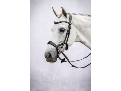 Uzdečka PS OF SWEDEN Pioneer - černá, FULL (AP 25 DOPRODEJ)