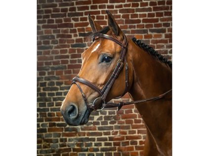 Uzdečka DYON Flash - hnědá, COB