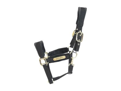 Ohlávka KENTUCKY Velvet  black, vel. COB