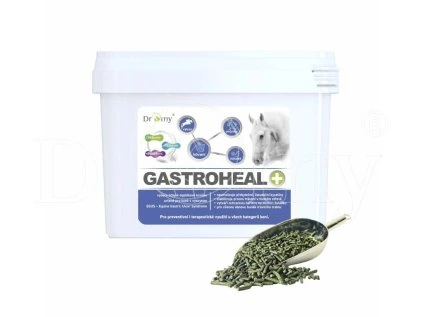 DROMY GastroHeal koncentrát 3 kg