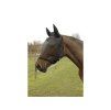 COVALLIERO Maska proti hmyzu s třásní černá PONY